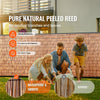 Natural Reed Privacy Fence Panels for Backyard and Patio