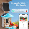 Smart Bird Feeder with Camera for Outdoor Bird Watching