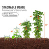 Tomato Plant Support Cages Set for Garden and Climbing Plants