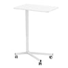 29.1IN x 18.9IN Mobile Standing Desk with 360¡ã Wheels and Adjustable Height