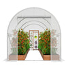 9.58x6.43x6.23 ft Walk-In Greenhouse Tunnel with Heavy-Duty Frame