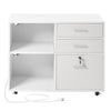 Lockable Mobile File Cabinet with Adjustable Shelves and Color-Changing Lights