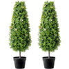2 Pack 36 in Boxwood Artificial Trees for Indoor Outdoor Use