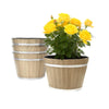 Decorative Whiskey Barrel Planters for Indoor Outdoor