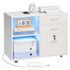 Lockable Mobile File Cabinet with Adjustable Shelves and Color-Changing Lights