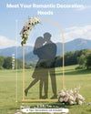 6.5 ft x 3.3 ft Metal Arch Stand for Weddings Parties Celebrations