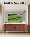 TV Stand for 55-65 in TVs with Adjustable Shelves and Rolling Door