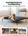 Elevated Dog Bed for Indoor and Outdoor Use