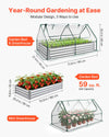 Raised Garden Bed with Greenhouse Cover
