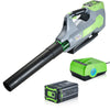 Cordless Electric Leaf Blower for Lawn Care