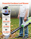 Cordless Electric Leaf Blower for Lawn Care