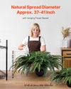 Artificial Hanging Fern Plant for Indoor and Outdoor Decor