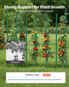 Garden Stakes for Climbing Plants Support